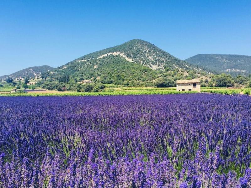 Bed and Breakfast La Benvingude Ньон Экстерьер фото